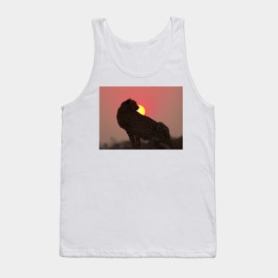 Cheetah At Sunset Tank Top